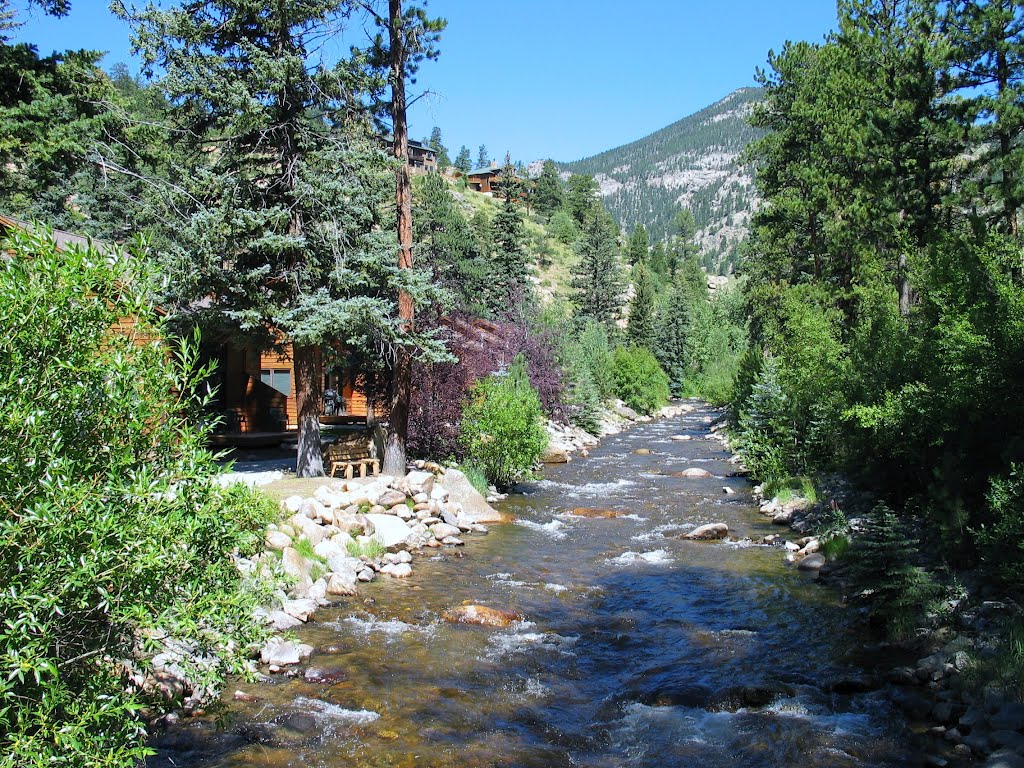 Stream next to our porch by Don Schell