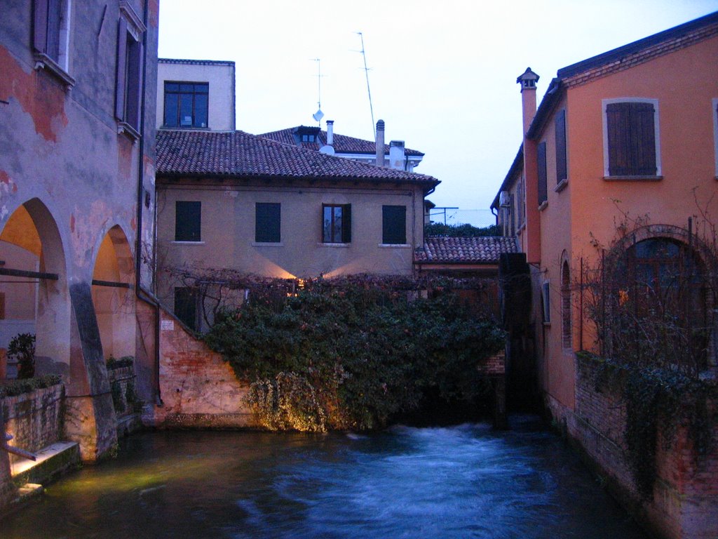 Le rostre, Treviso. by Roberto Donà