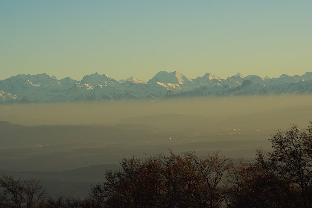 Westl. Berner Alpen (Blüemlisalp, Doldenhorn, Balmhorn u. Altels) by nerub