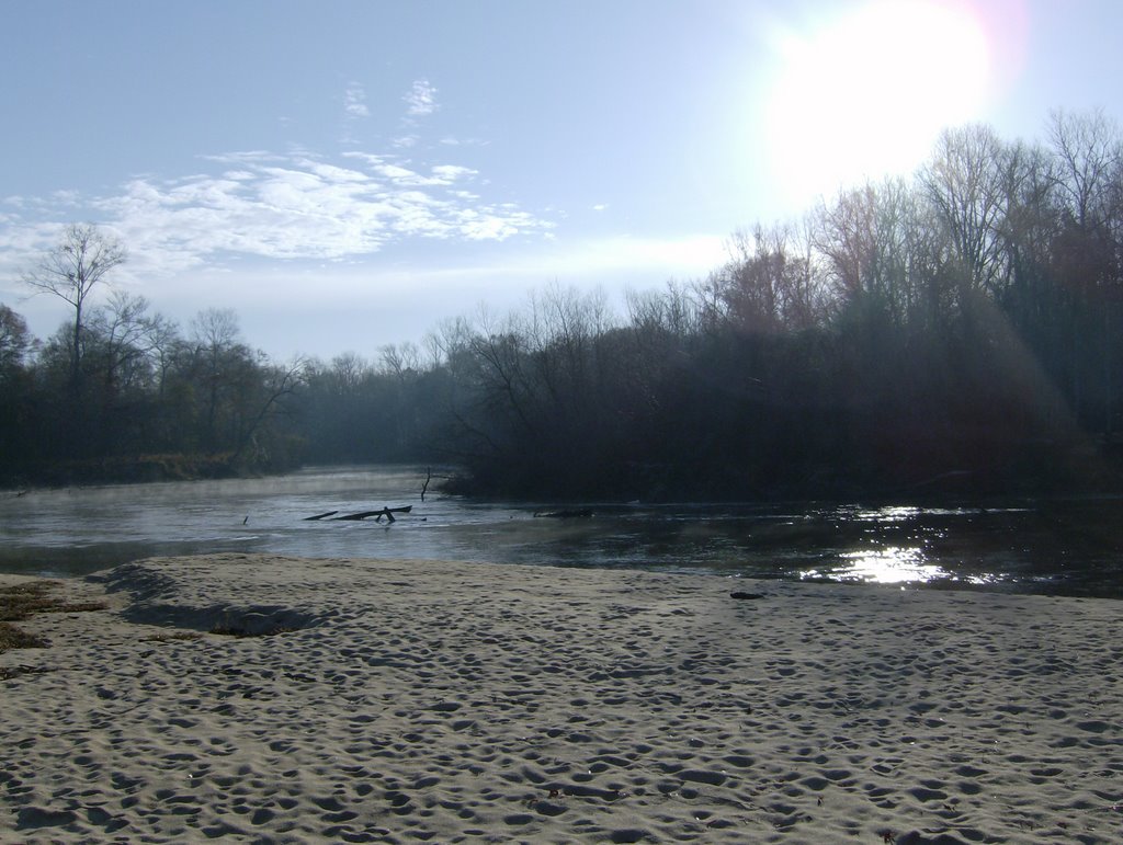 Swift cut near Yellow Bluff on Ocmulgee River by SCBerry