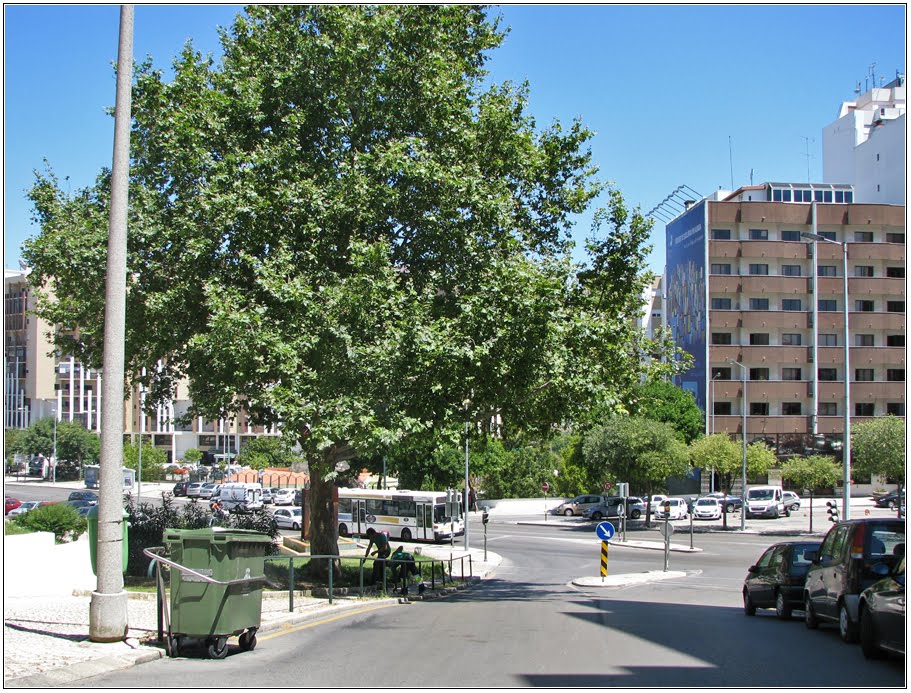 Rua Câmara Pestana - Pragal by Barragon