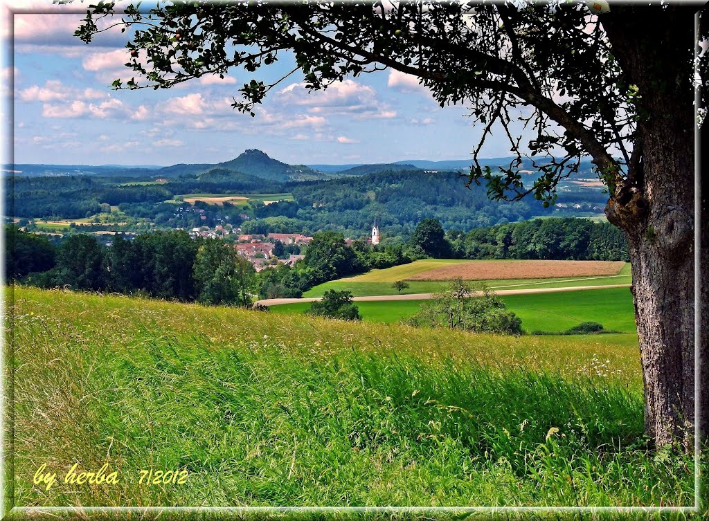 Steißlingen im Hegau by herba