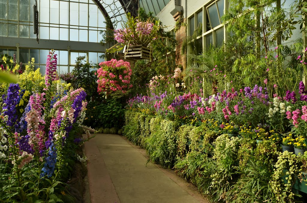 Auckland Domain - Winter Gardens (Nouvelle-Zélande) by Naru Kenji