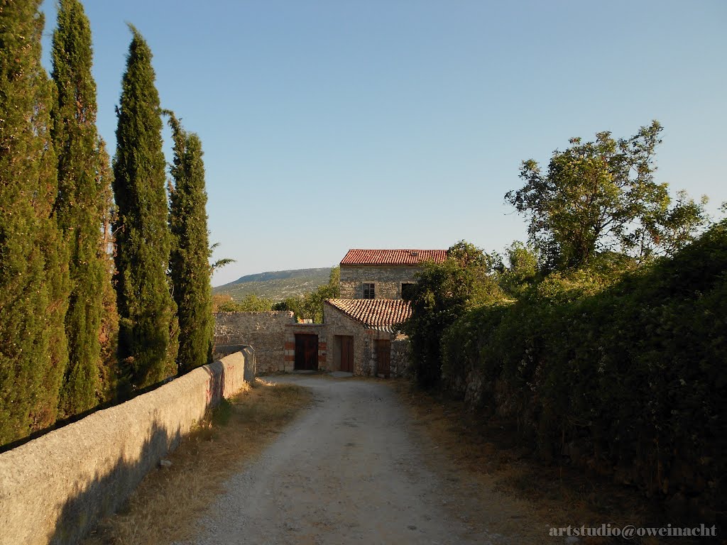 Cres, Iza Samostana Sv. Frane, srpanj, 2012 by oweinacht