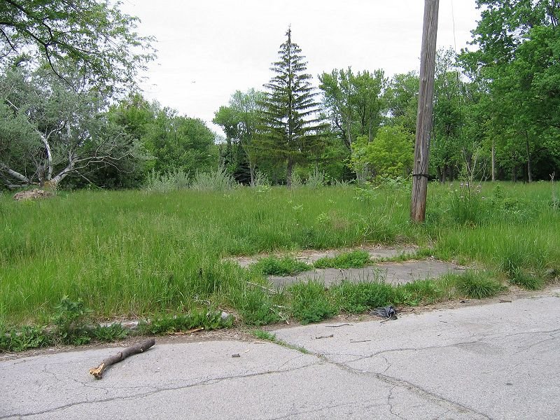 Remains of driveway from former home at 10007 Wheatfield Ave. by LakeNipissing