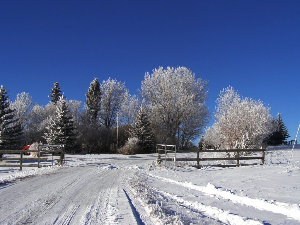 Frosty January by Will Jones