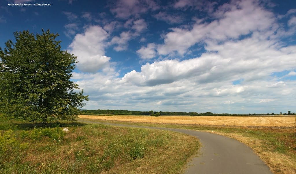 Cycle track beside Drávaszabolcs. by Kovács Ferenc