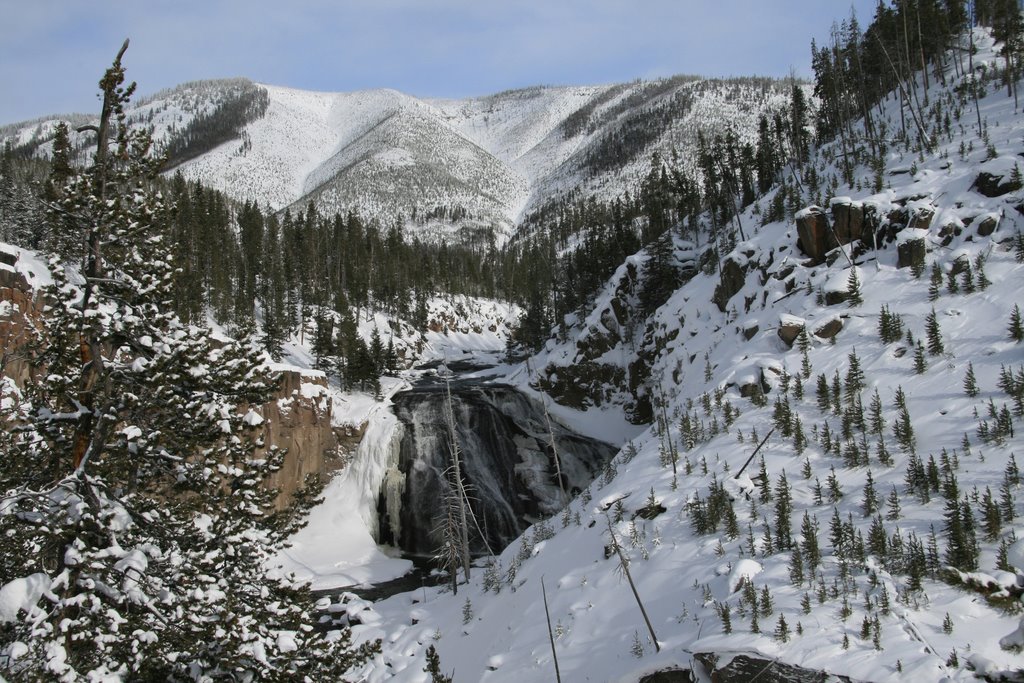 Gibbon Falls, Yellowstone National Park, Wyoming by Richard Ryer