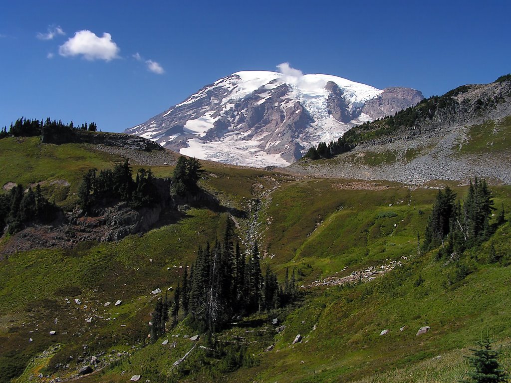 Mt Ranier National Park by Dan Hester