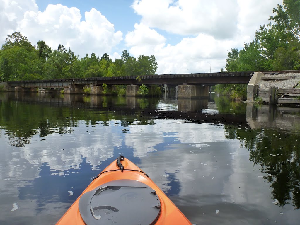 Railroad bridge by Meg P