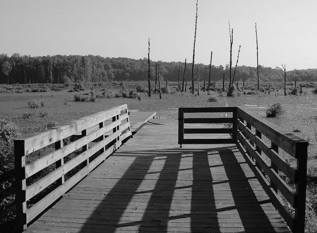 Big Haynes Creek Park - Conyers, GA by Brian D.