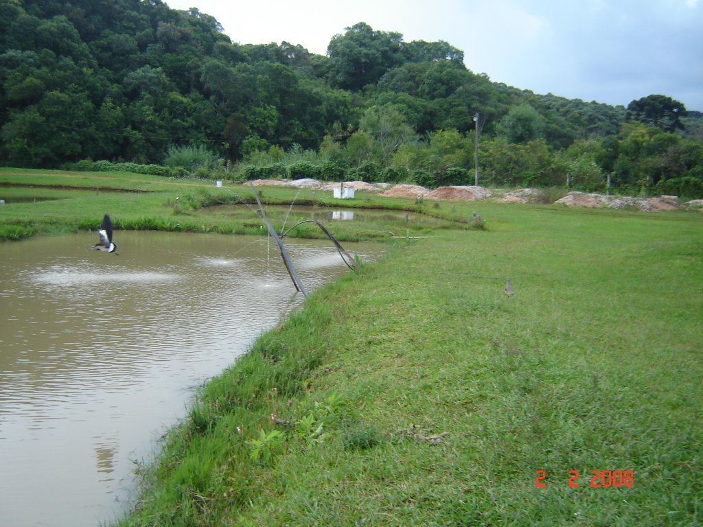 Pacotuba, Alm. Tamandaré - PR, Brazil by pellegrini32