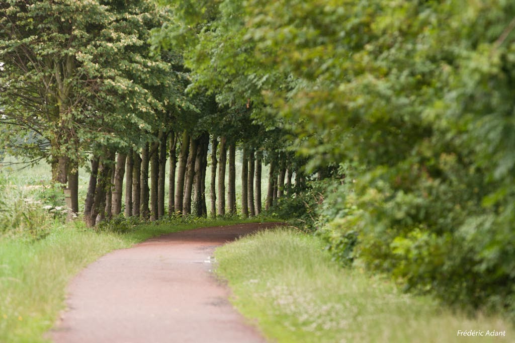 CHEMIN LE LONG DE LA LYS GR121B by Frédéric Adant