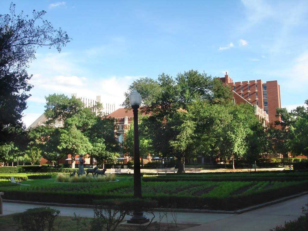 Norman, OK, USA - University of Oklahoma by MARELBU