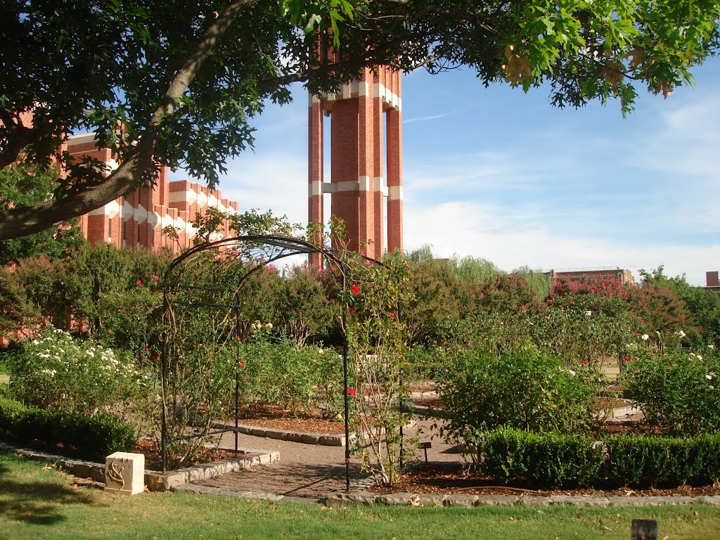 Norman, OK USA - University of Oklahoma by MARELBU