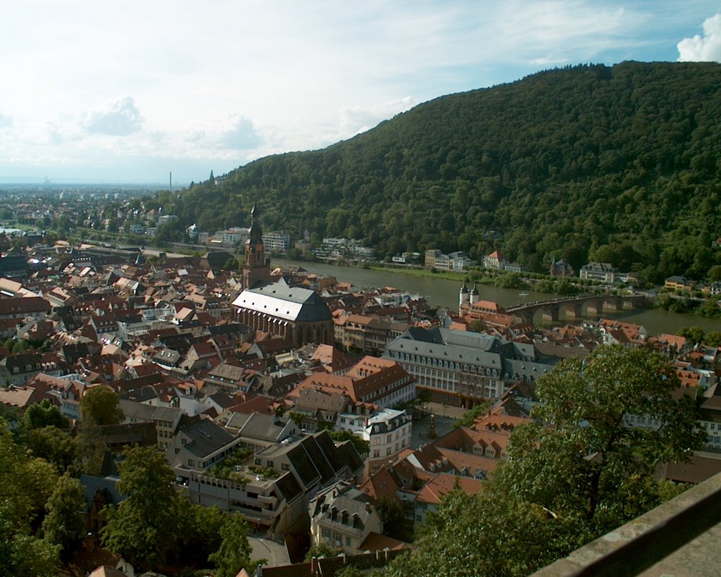 Blick auf die Heiliggeistkirche und Rathaus by Ronnie Nijrolder