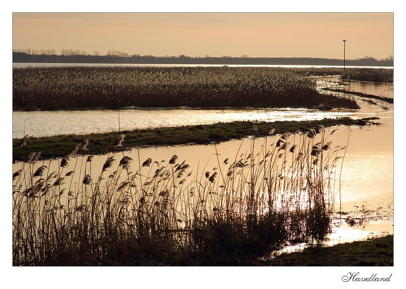 Gülper See im Abendlicht by Hsvrs