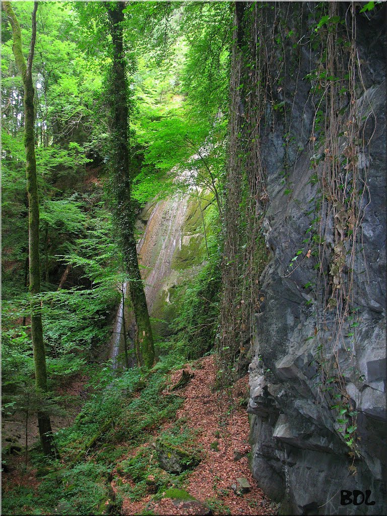 Cascade de la Covaz (Pisse-Vache) by Joël Duperrier