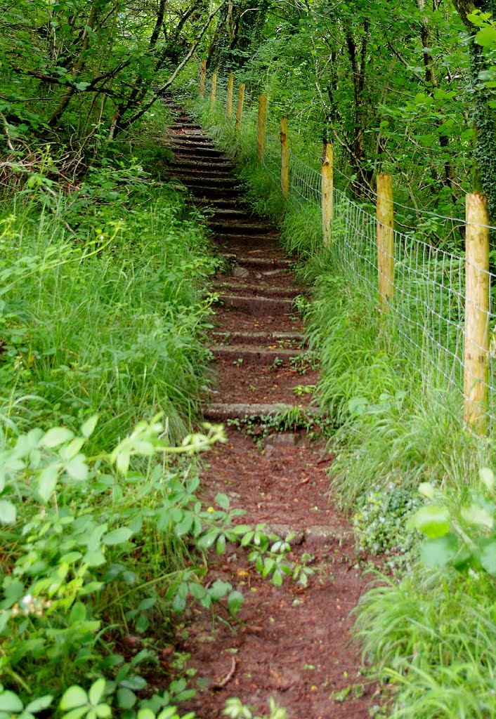 Pontsarn steps by anthonyjames