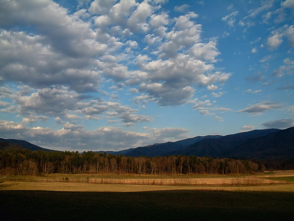 Cades Cove, Great Smokey Mountains by Dan Hester