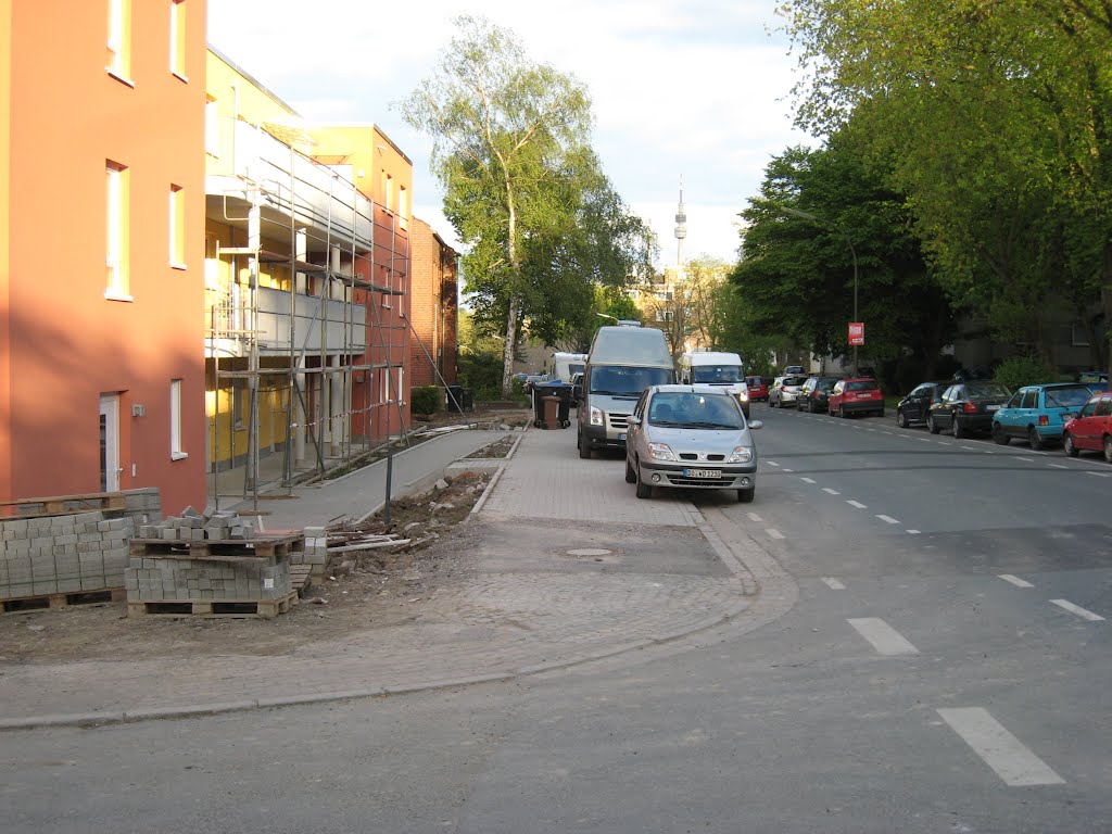 Lange Hecke Richtung Norden by Thomas Bauckmeier