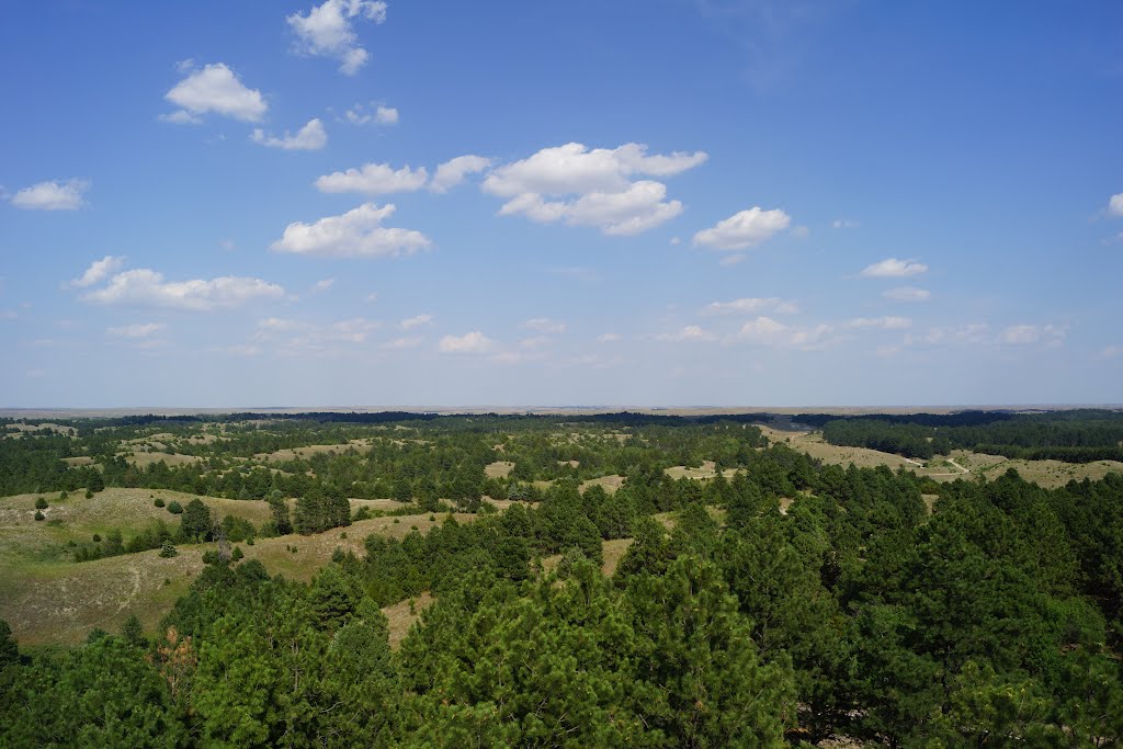 Halsey, NE: from the National Forest tower by pylodet