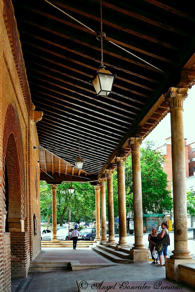 Guadalajara. Concatedral de Santa María. Exteriores. by Ángel González Quesada