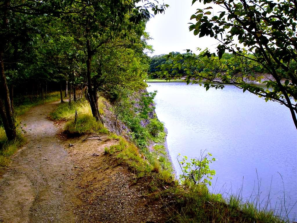 Peebles Island Trail (west shore) by csdfg