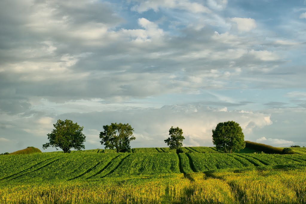 Fields behind cookstown by ricmen79