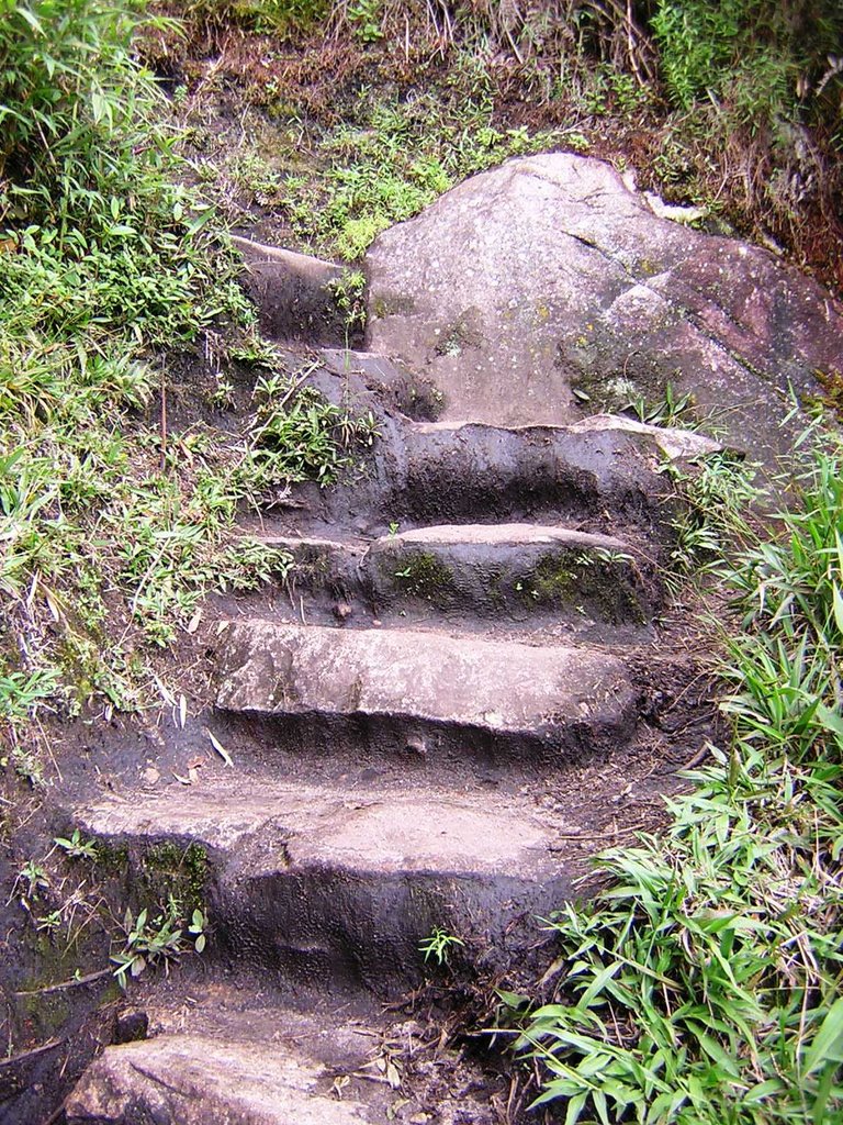 Salita al Huayna Picchu by maremagna