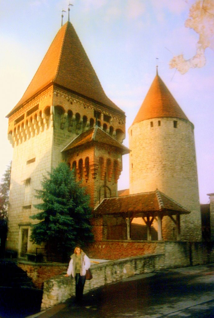 Murten Castle,Switzerland by micronetal