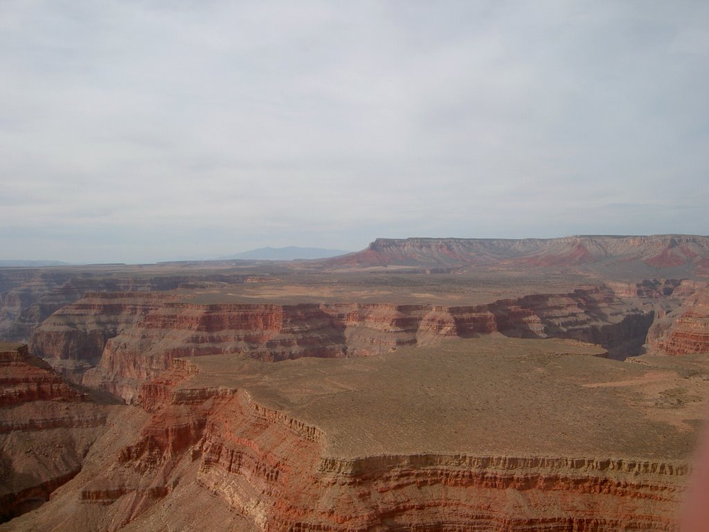 Grand Tops by Charles Vrey