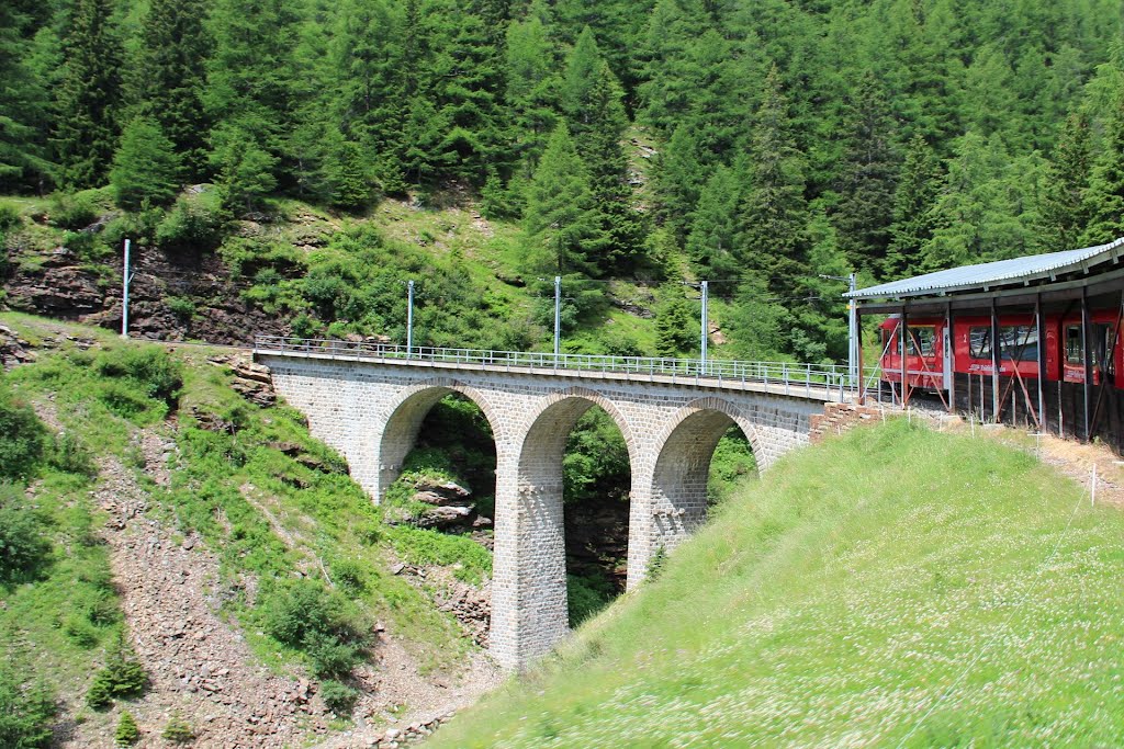 Rhätische Bahn - Cavaglia - Alp-Grüm ●(315°) by © Roland