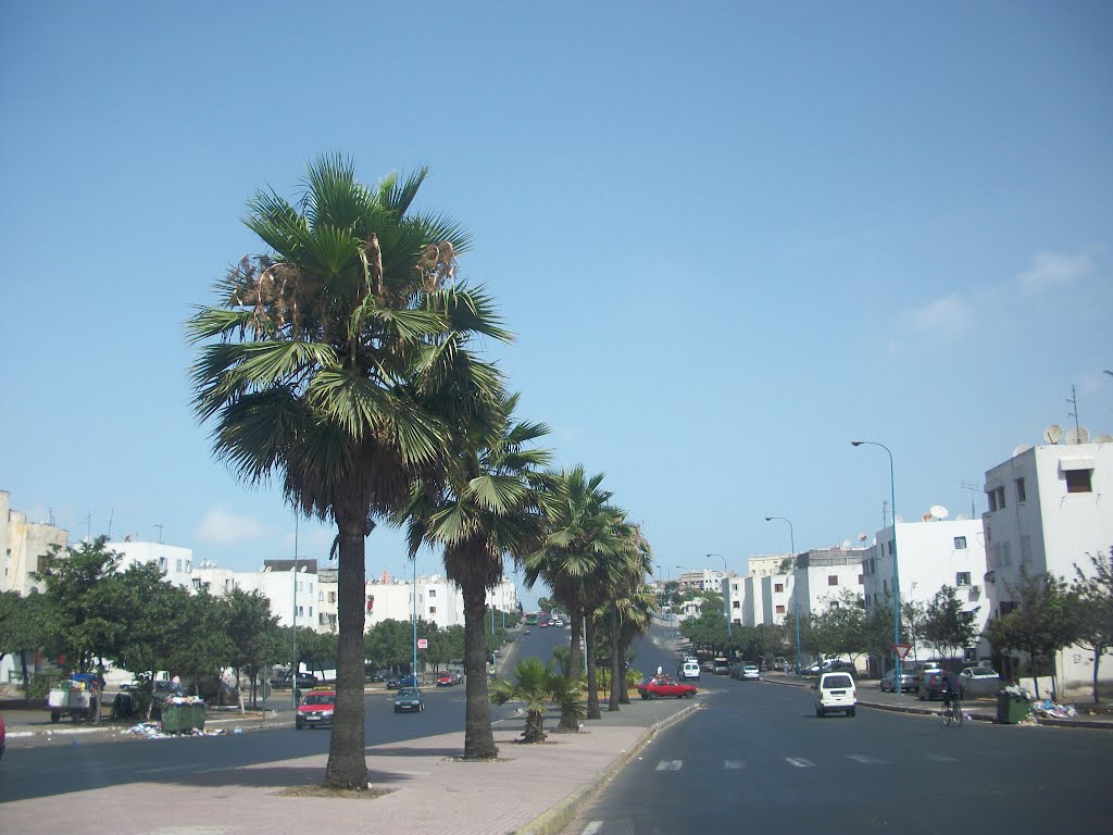 Avenue colonel El alam by Mhamed Zarkouane