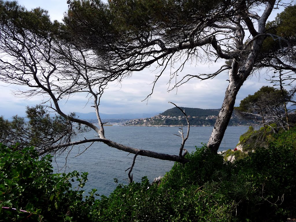 Nizza vista da Cap Ferrat - Costa Azzurra (Francia) by Ilda Casati