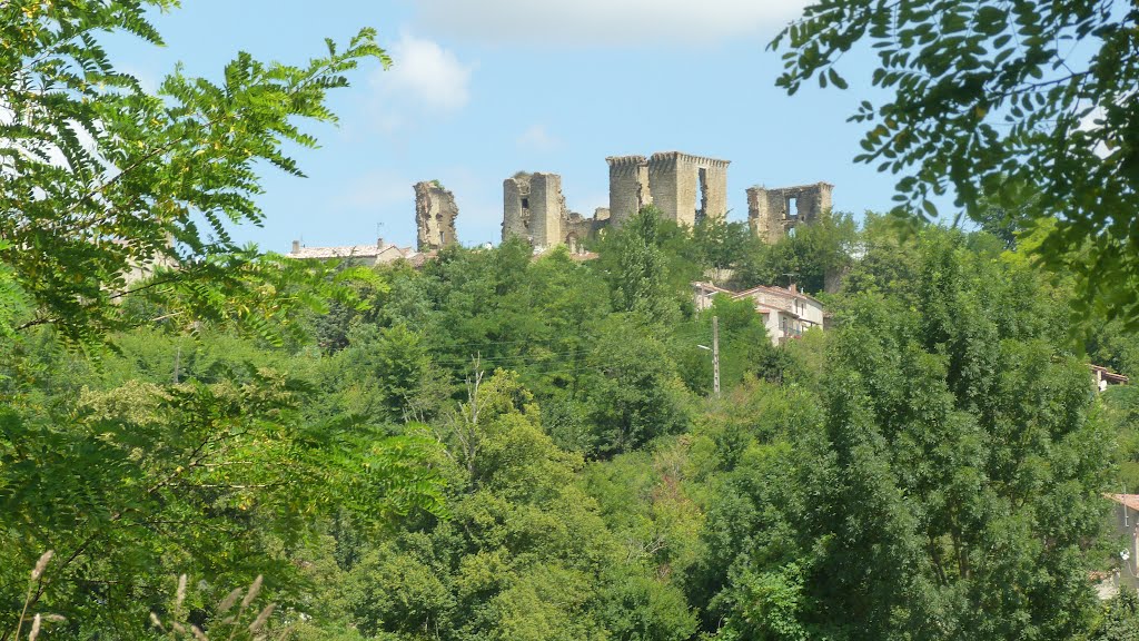 Chateau de Lagarde by Dominic Mathieu