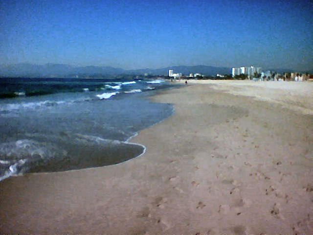 Venice Beach by Stevan Gaskill