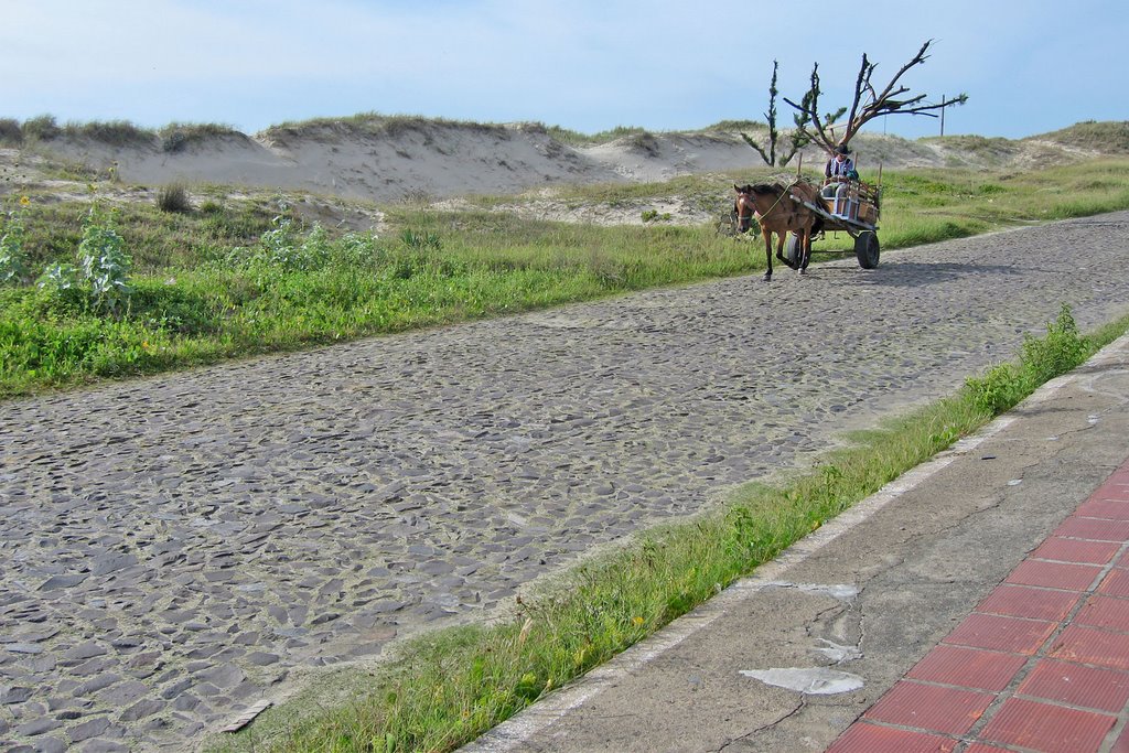 Beach road by Dale Roberson