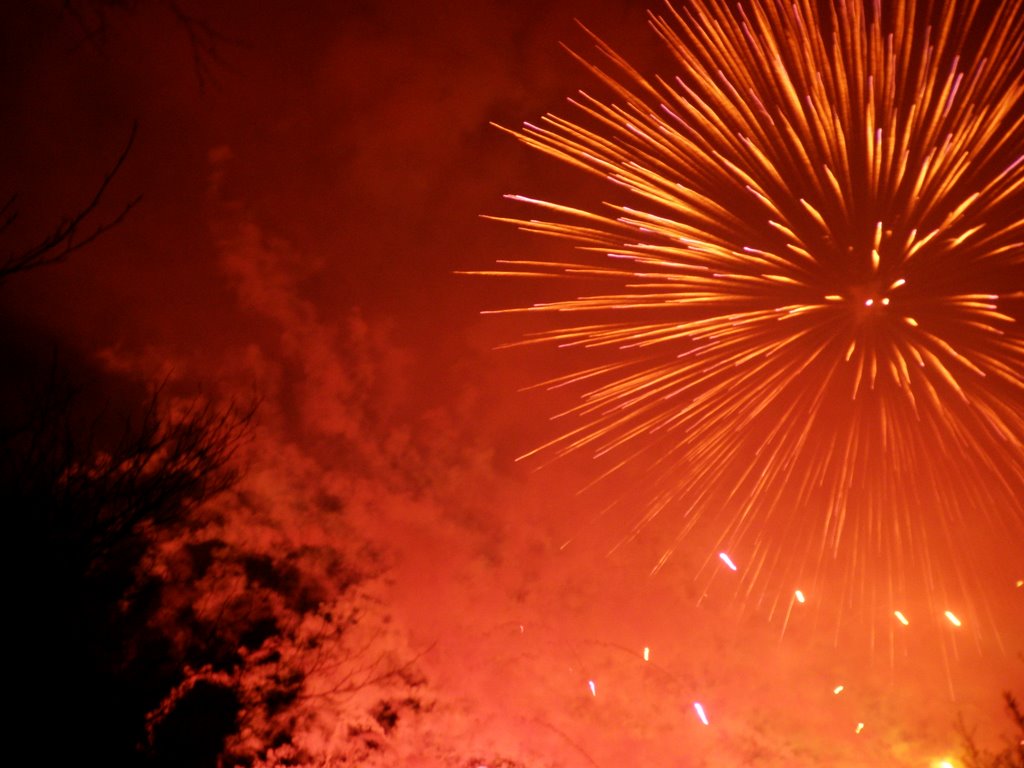 Fireworks off Kessock Bridge to mark the end of Highland Year of Culture by Leila.Evans