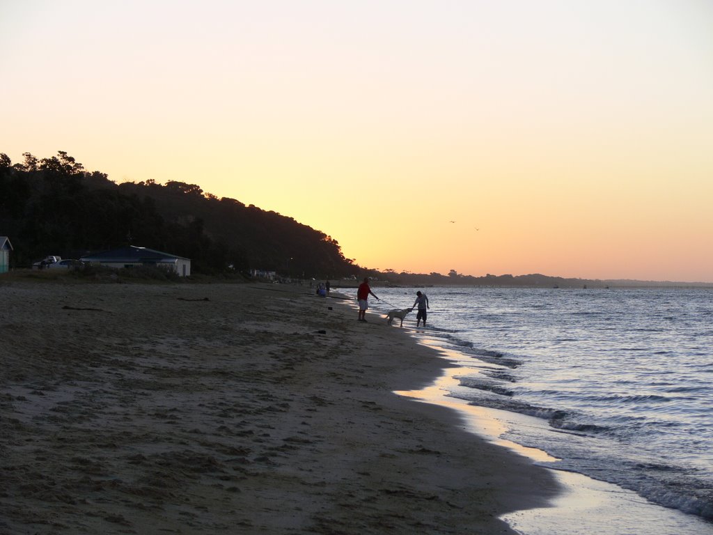 Dromana on the bay by Craig Ward