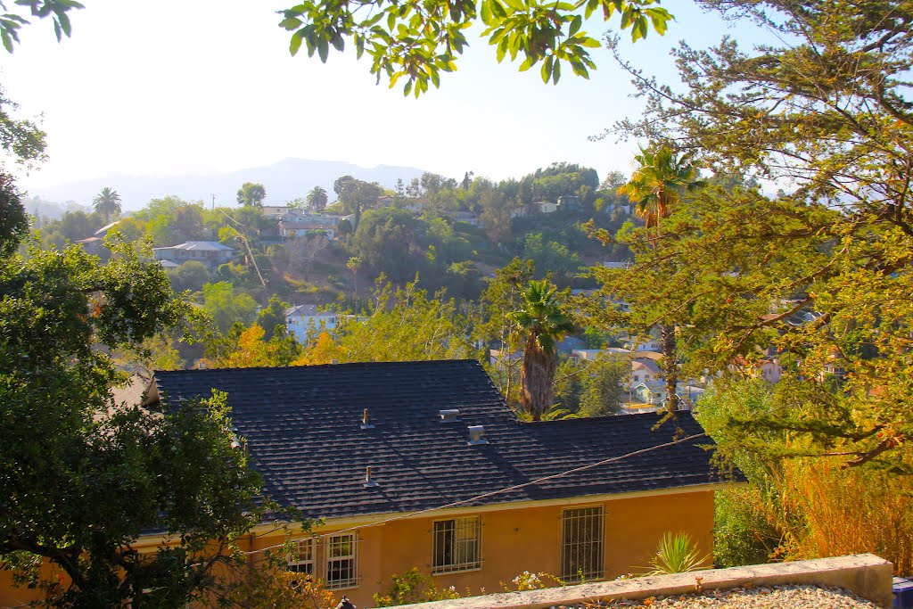 Sights along Cerro Gordo St., Elysian Heights, Los Angeles, CA by MICHAEL  JIROCH  &  www.michaeljiroch.com