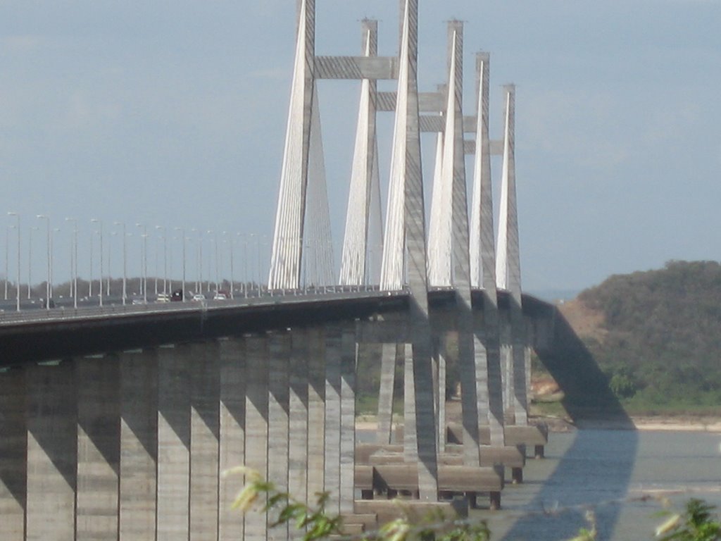 Puente Orinokia by cesarlabarca