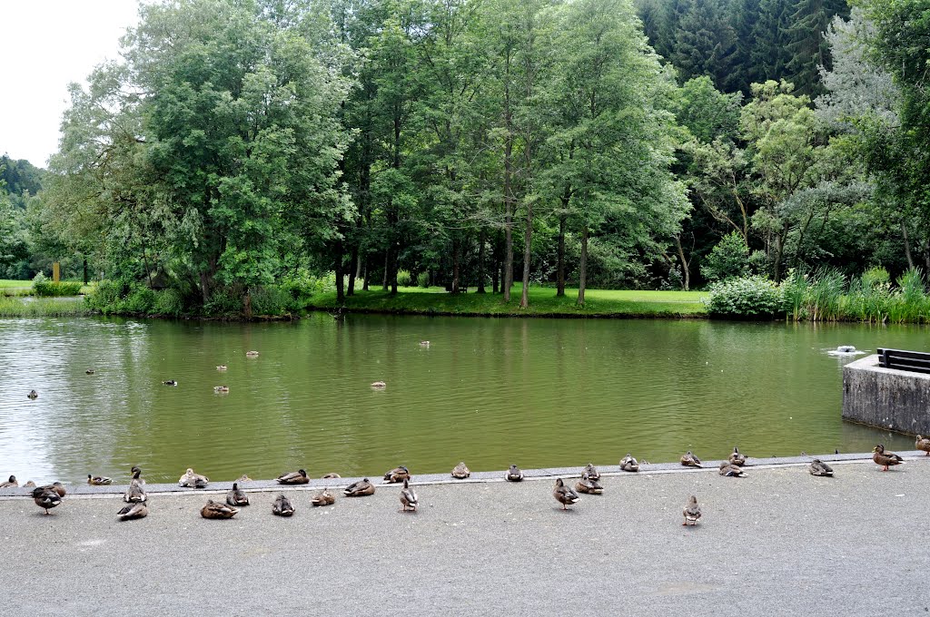 Kurpark in Gemunden by nibec