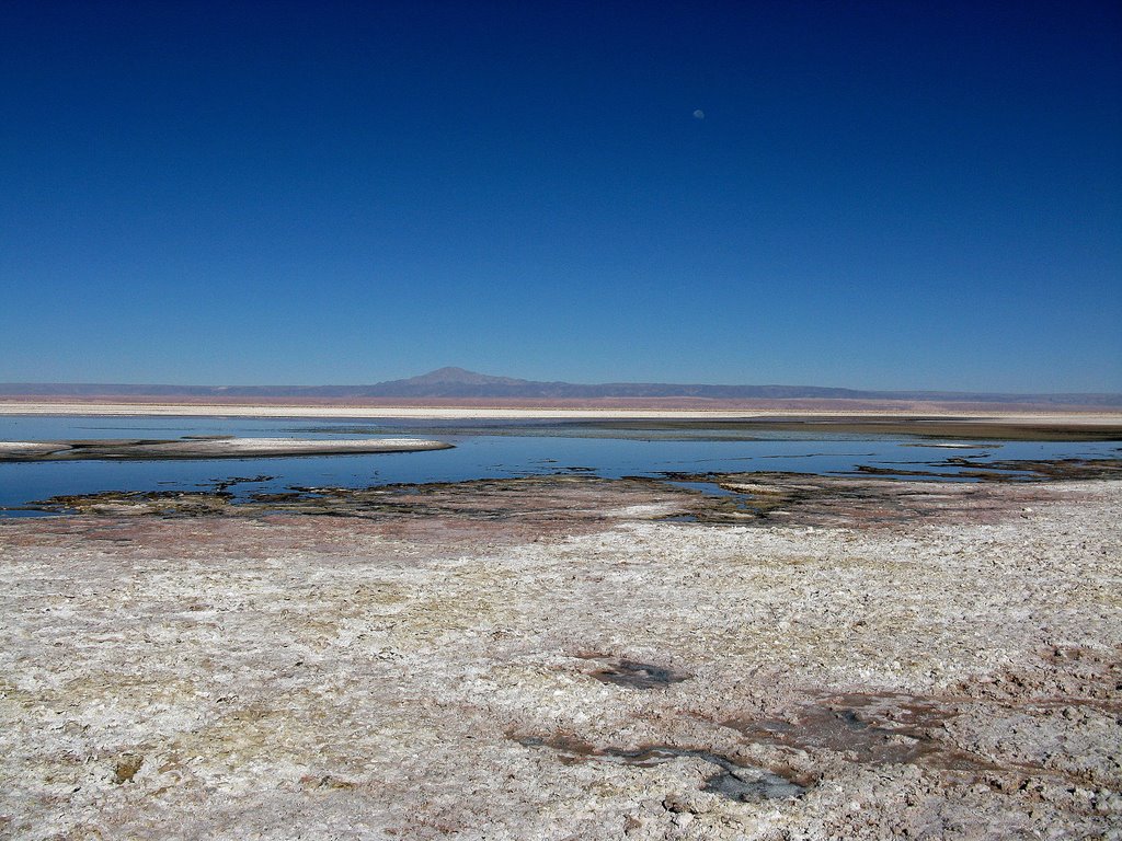 Laguna Chaxa by solo due minuti per.…