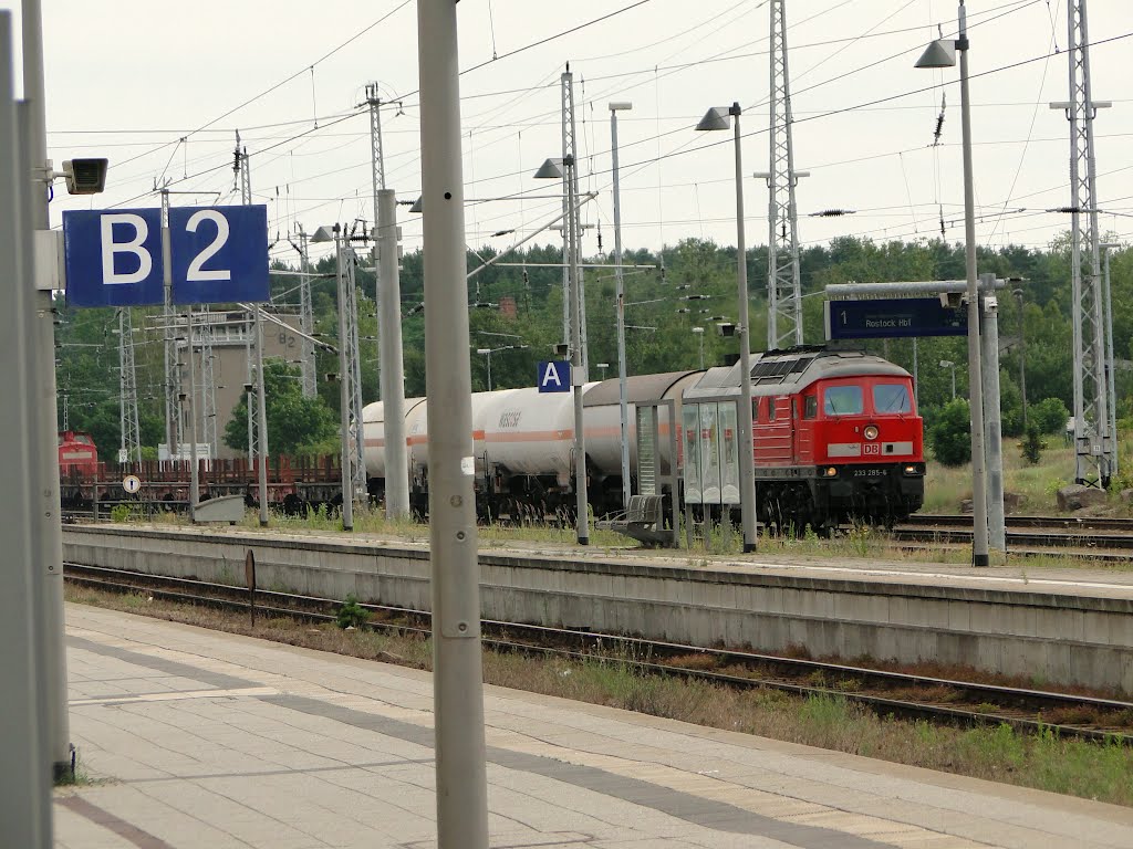 BR 233 im Bahnhof Neustrelitz by bke