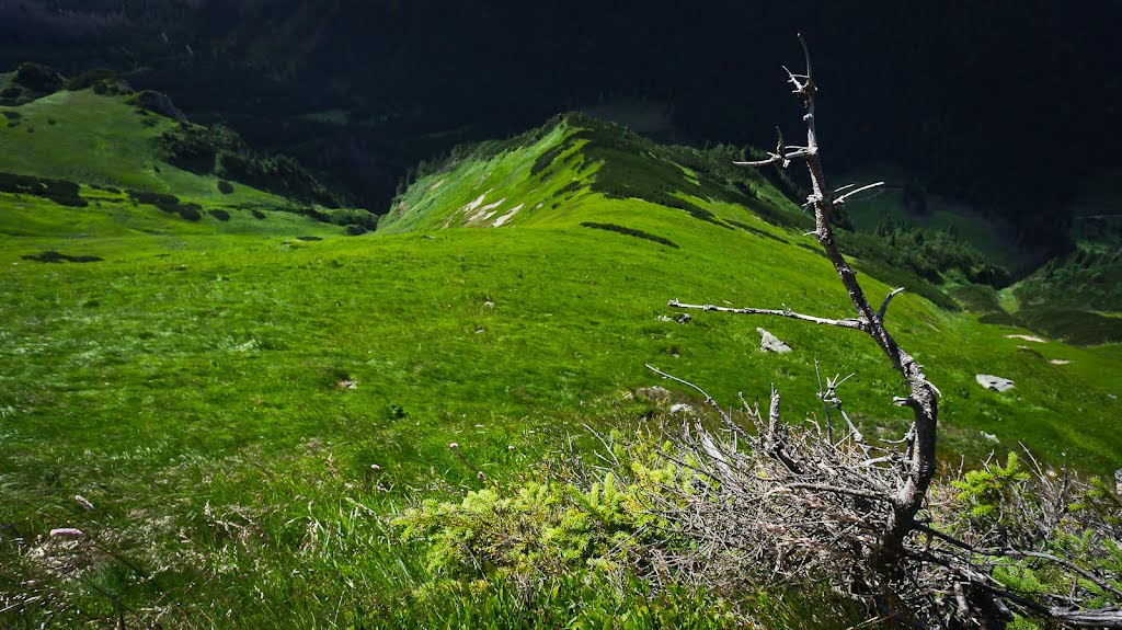 Tatry Zachodnie by GMPST2000