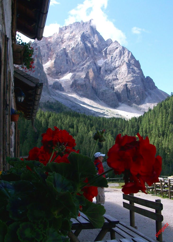 Il Cimon della Pala dalla Malga Venegiota (Cimon della Pala peak from Venegiota alpine farm) by Pietro Gazzola