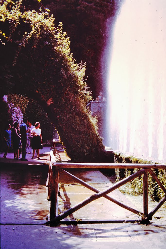 ITALY: TIVOLI: Villa D'Este: fountains by Douglas W. Reynolds, Jr.