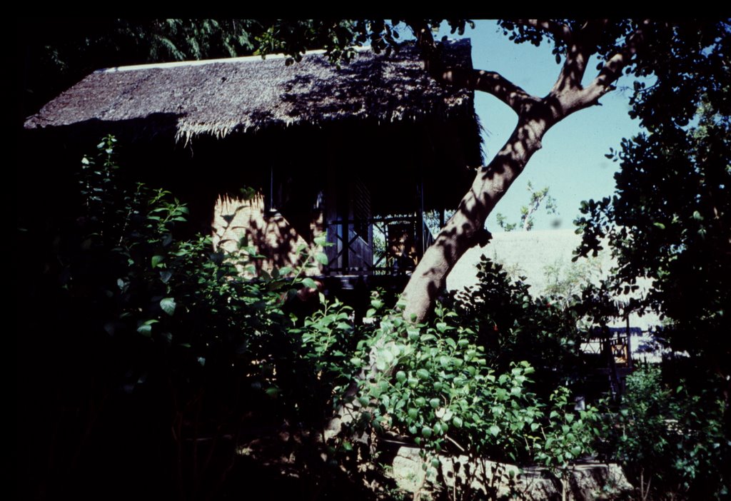 Bungalow Phuket by herbert knoch