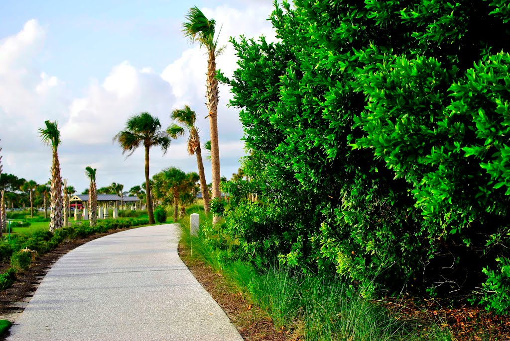 Path on Jekyl Island by samfeltus